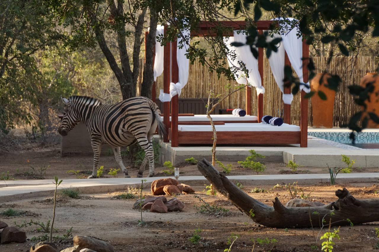 Bushbaby River Lodge Hoedspruit Ngoại thất bức ảnh